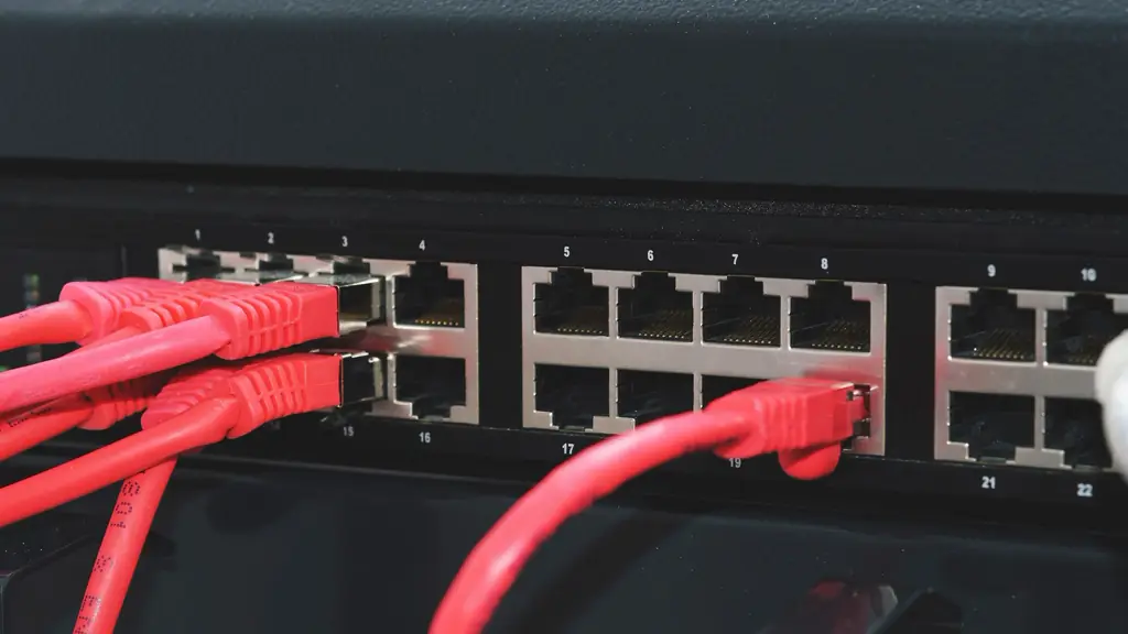 Network cables plugged into a switch